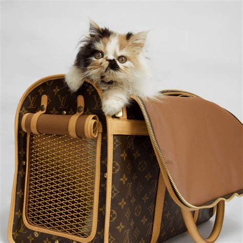 replica louis vuitton dog carrier 50|authentic louis vuitton pet carrier.